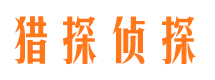 宣武侦探公司